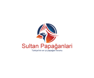 Logo Design by Navneet Singh for this project | Design: #10263028