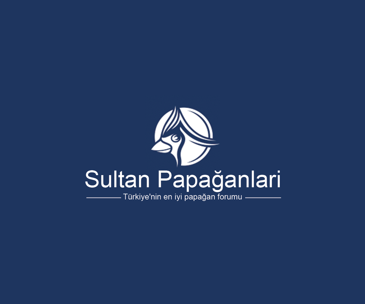 Logo Design by Navneet Singh for this project | Design #10263030