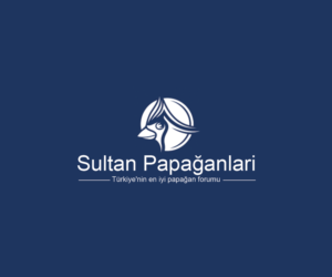 Logo Design by Navneet Singh for this project | Design: #10263030