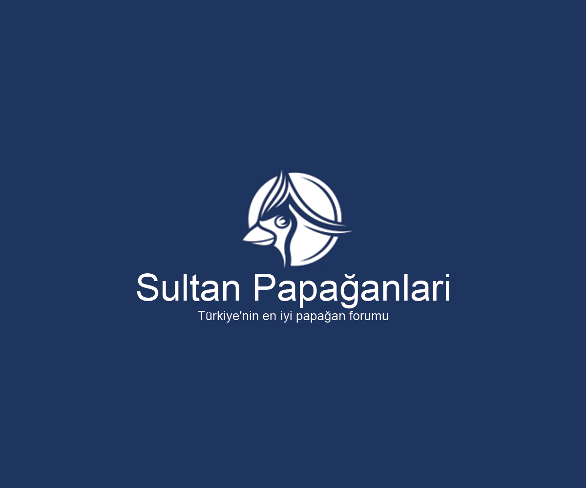 Diseño de Logo por Navneet Singh para este proyecto | Diseño #10263031