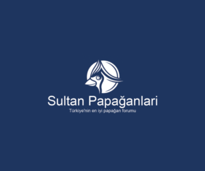 Diseño de Logo por Navneet Singh para este proyecto | Diseño: #10263031