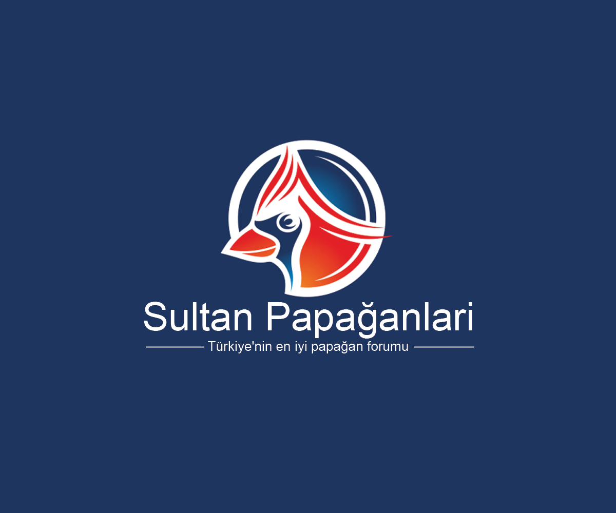 Logo Design by Navneet Singh for this project | Design #10263032