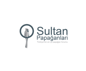 Diseño de Logo por Navneet Singh para este proyecto | Diseño: #10263037