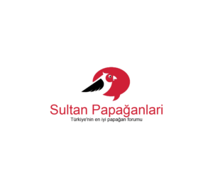 Diseño de Logo por Navneet Singh para este proyecto | Diseño: #10263040