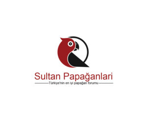 Diseño de Logo por Navneet Singh para este proyecto | Diseño: #10263043
