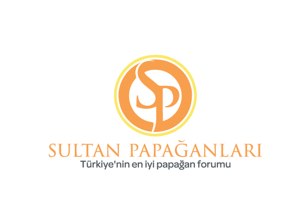 Logo Design by metehumay for this project | Design #10263083