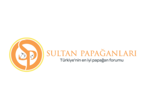 Design de Logo par metehumay pour ce projet | Design : #10263221