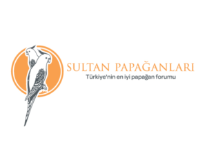 Design de Logo par metehumay pour ce projet | Design : #10263306