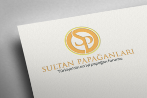 Design de Logo par metehumay pour ce projet | Design : #10263737