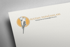 Design de Logo par metehumay pour ce projet | Design : #10263738