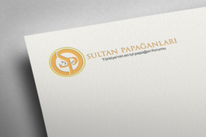 Design de Logo par metehumay pour ce projet | Design : #10263739
