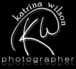 Logo Design by dennis william gaylor for this project | Design: #10205515