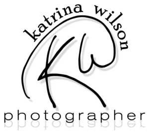 Logo Design by dennis william gaylor