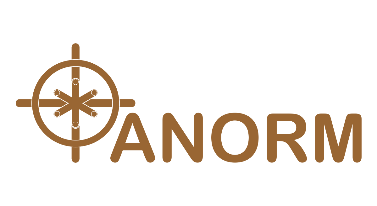 Design de Logo par GermanDesigns pour ANORM Consulting Pty Ltd | Design #10246390