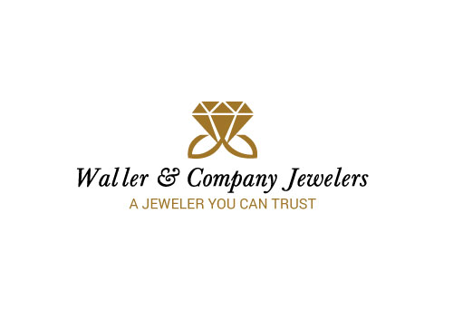 Logo Design by Designer Valley for Liquid Web Designs | Design #10275744