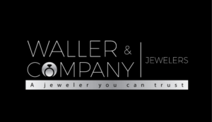 Diseño de Logo por somani para Liquid Web Designs | Diseño: #10198998