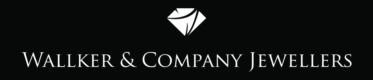 Logo Design by alikhanzai23 for Liquid Web Designs | Design #10162073