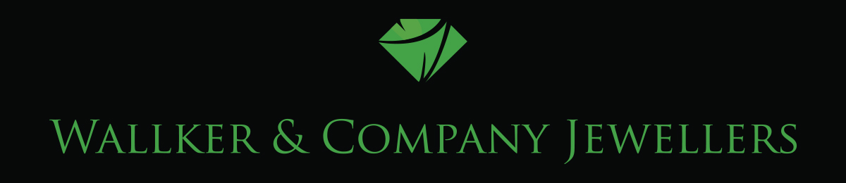 Diseño de Logo por alikhanzai23 para Liquid Web Designs | Diseño #10162074