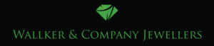 Logo Design by alikhanzai23 for Liquid Web Designs | Design: #10162074