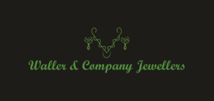 Logo Design by alikhanzai23 for Liquid Web Designs | Design: #10189345