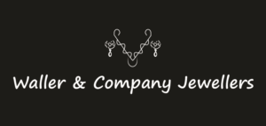 Logo Design by alikhanzai23 for Liquid Web Designs | Design: #10189348