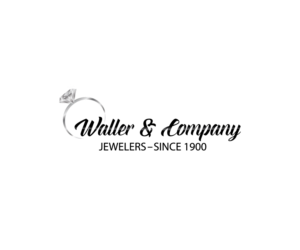 Logo Design by salifdriss for Liquid Web Designs | Design: #10278785