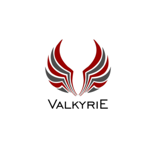 Logo Design by Djt