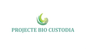 Logo Design by Alireza Mirzaei