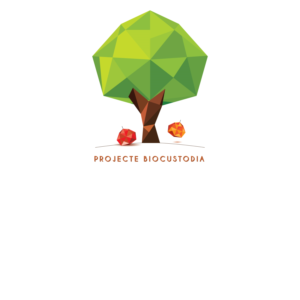 Logo Design by Sikka