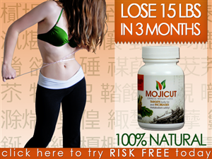 Banner Ad Design by danamir