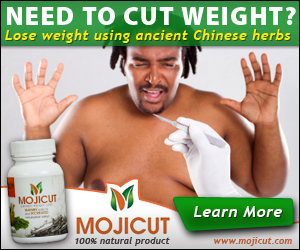 Mojicut LLC banner ad design project | Banner Ad Design by neboica