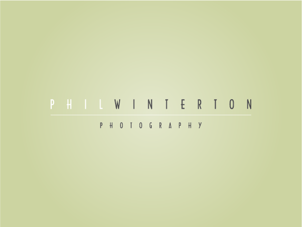 Logo Design by Blue Fox Creative for this project | Design #440119