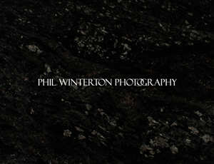 Logo Design by FFF! for this project | Design: #440902
