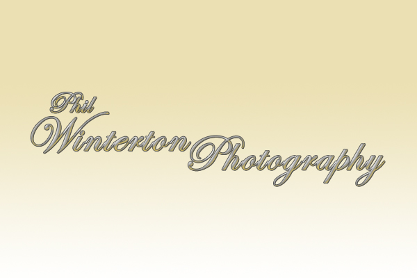 Logo Design by Fausto Productions for this project | Design #439200