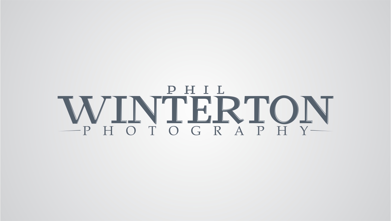 Logo Design by BlazeParadox for this project | Design #440000