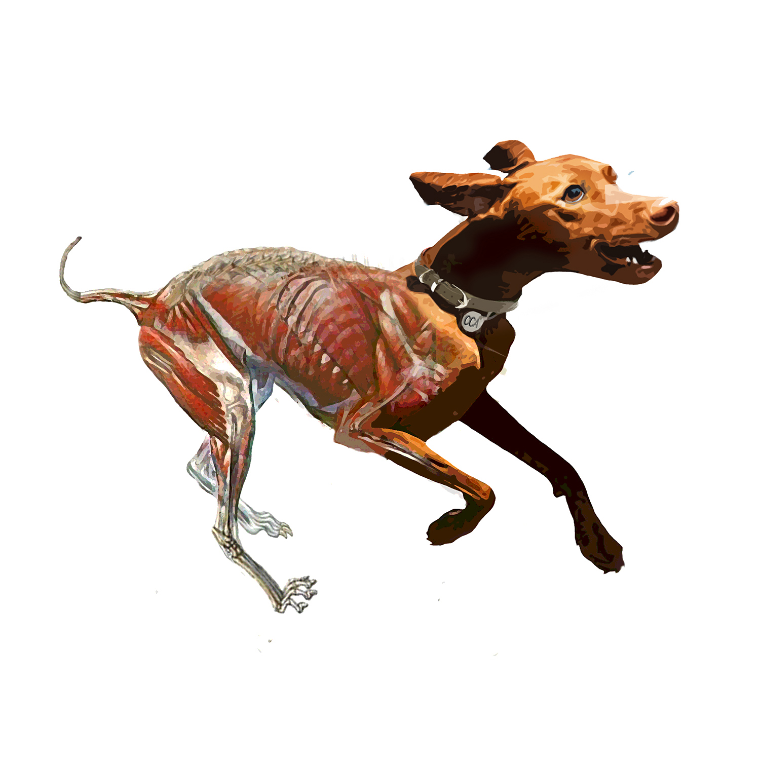 Logo-Design von davem für dieses Projekt | Design #10331984