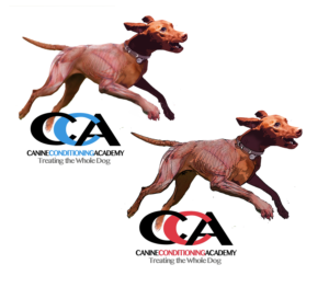 Logo Design by davem for this project | Design: #10368385