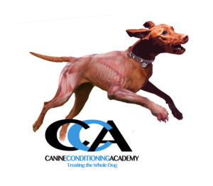 Logo Design by davem for this project | Design: #10368401