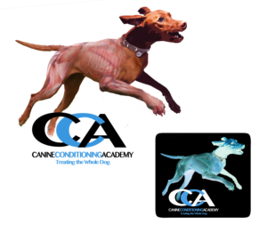 Logo Design by davem for this project | Design: #10368416