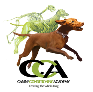 Logo Design by davem for this project | Design: #10379218