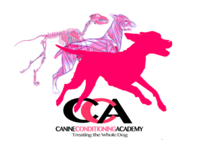 Logo Design by davem for this project | Design: #10396299
