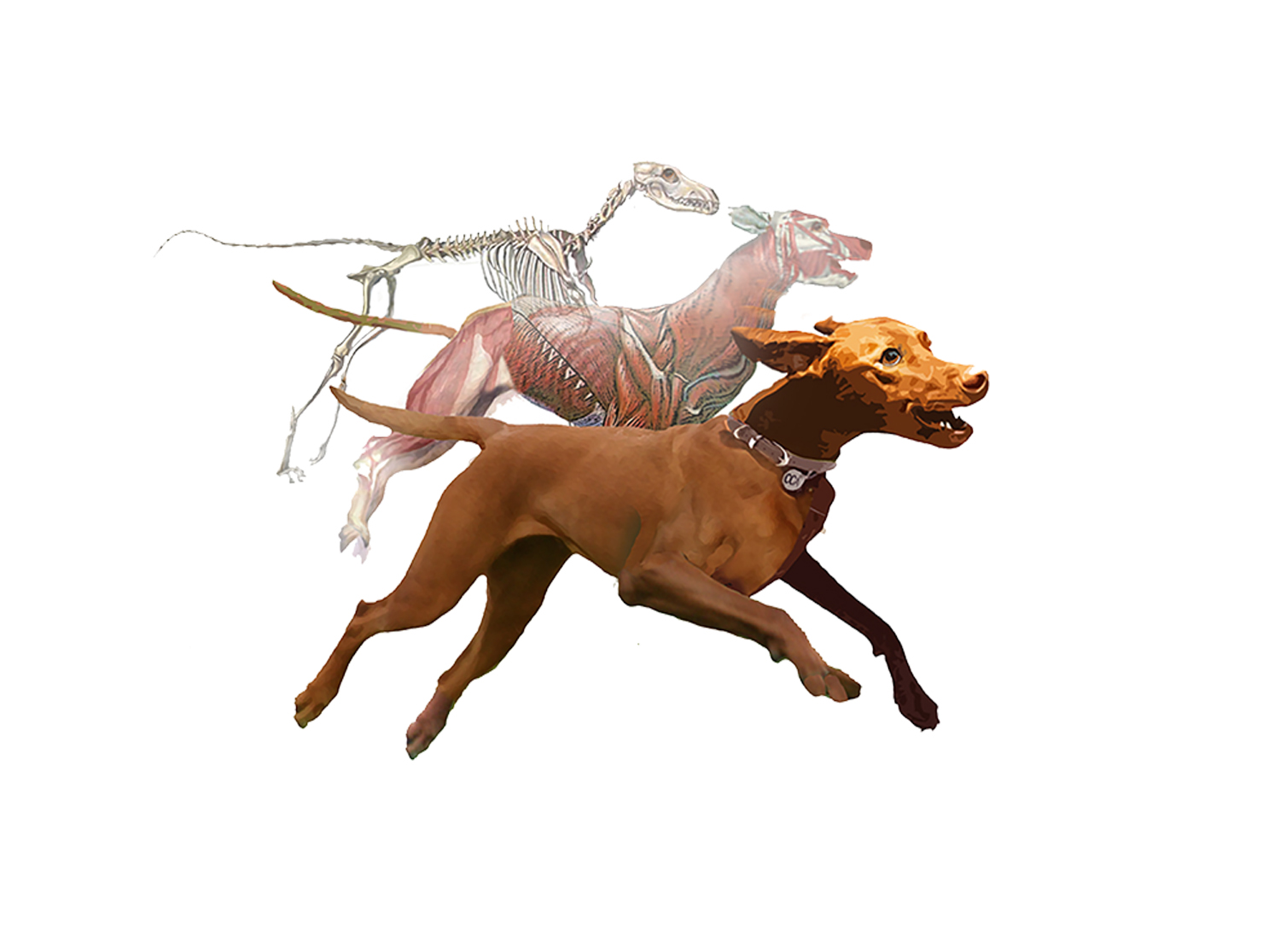 Logo-Design von davem für dieses Projekt | Design #10401738