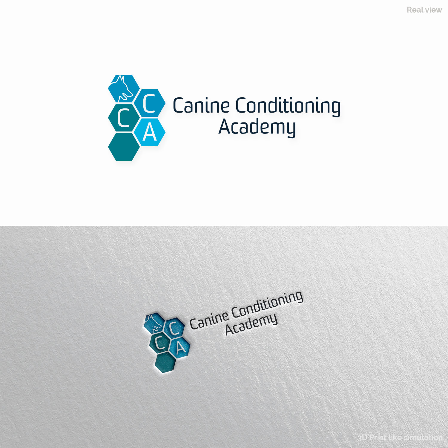 Logo-Design von Anthony für dieses Projekt | Design #10388716