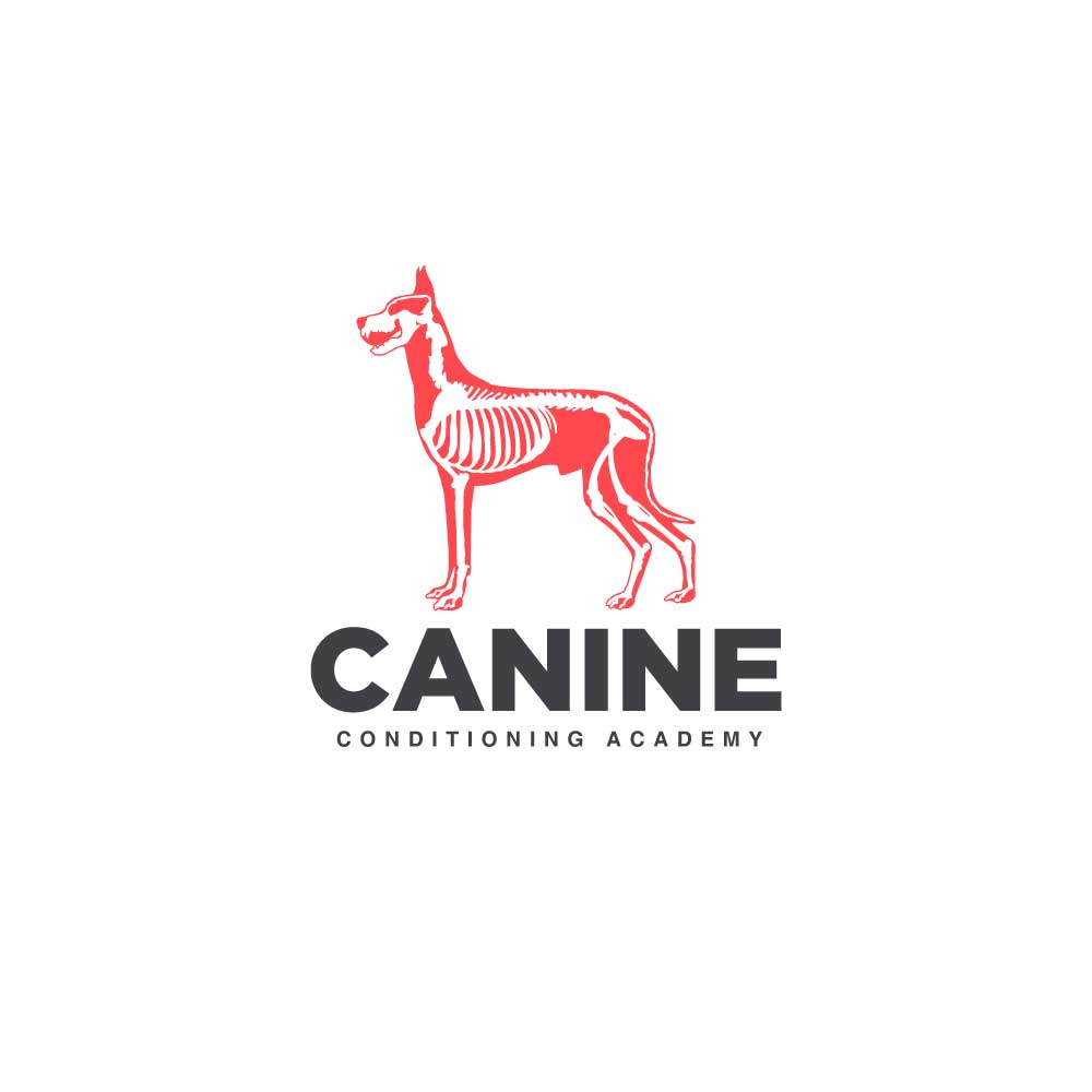 Logo Design by Logoregion for this project | Design #10413458