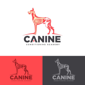 Logo Design by Logoregion