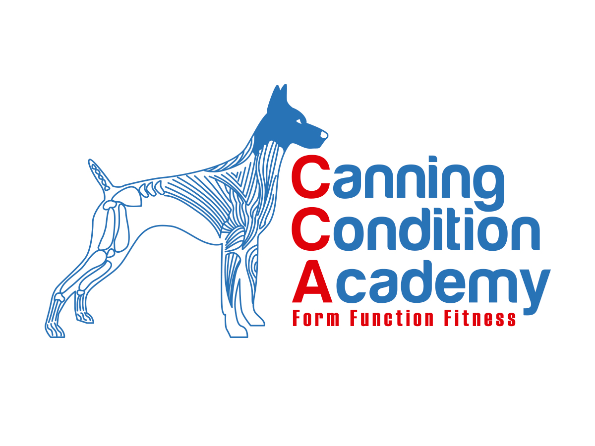 Logo Design by rubio0383 for this project | Design #10348508