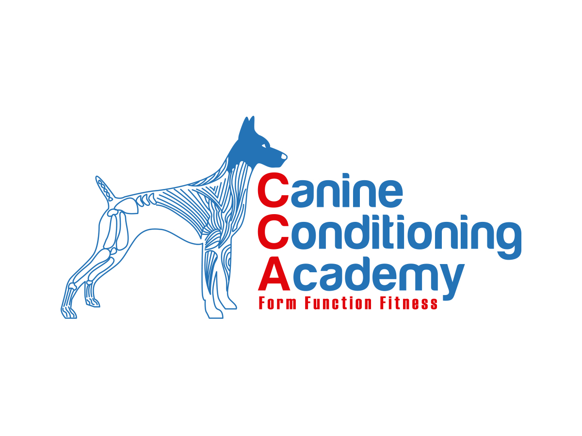 Logo Design by rubio0383 for this project | Design #10365896