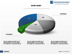 PowerPoint Design by sigitarrin for Shepherd Risk Group | Design: #2217340