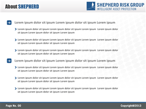 PowerPoint Design by Best Design Hub for Shepherd Risk Group | Design: #2162965