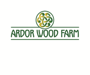 Logo Design by Hot Rod